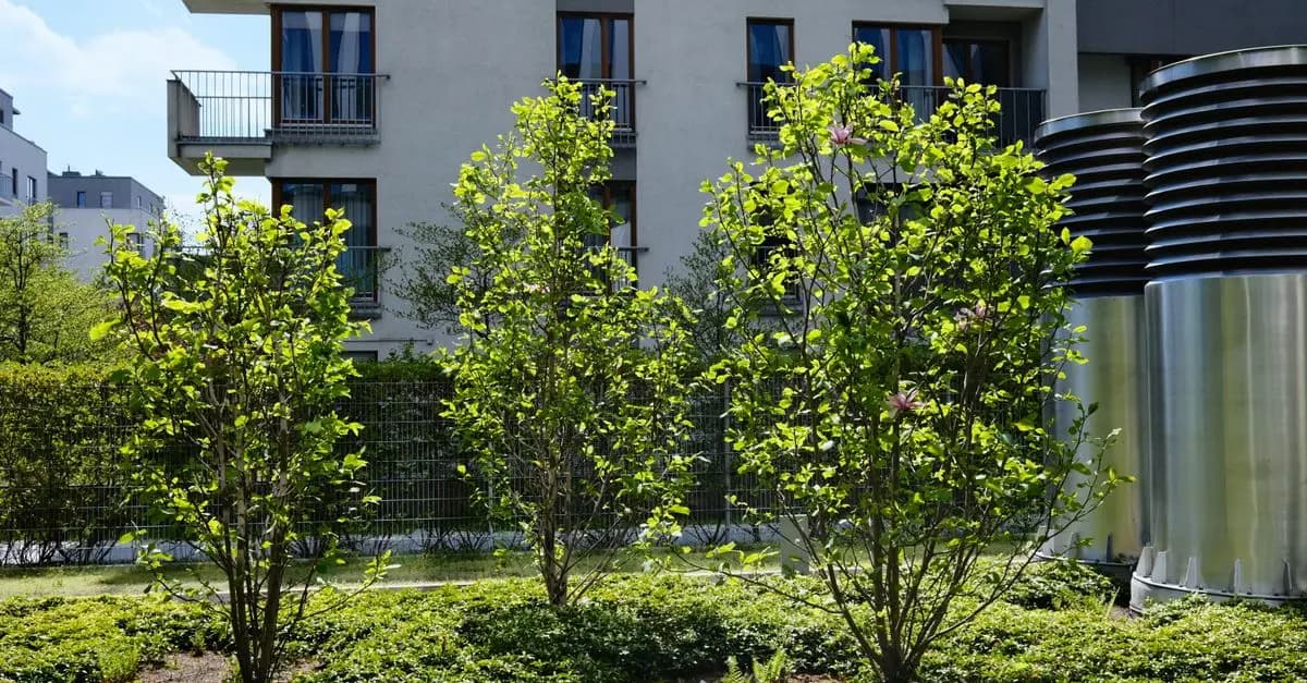 Ekologiczne budownictwo: 5 kluczowych błędów do uniknięcia