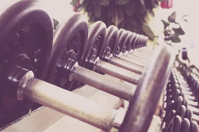 Najlepsze urządzenia fitness 2026 - Poradnik zakupu