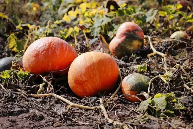 Eko podróże: Przewodnik dla oszczędnych podróżników